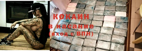 гидра Арсеньев
