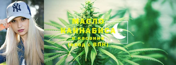 гидра Арсеньев