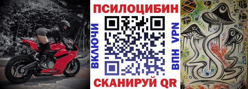 дарнет шоп  Талдом  Псилоцибиновые грибы MAGIC MUSHROOMS 